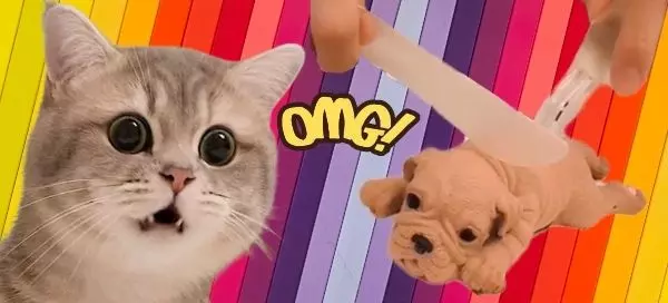 We Can Guess Your Spirit Animal With Just Your Favorite Color!