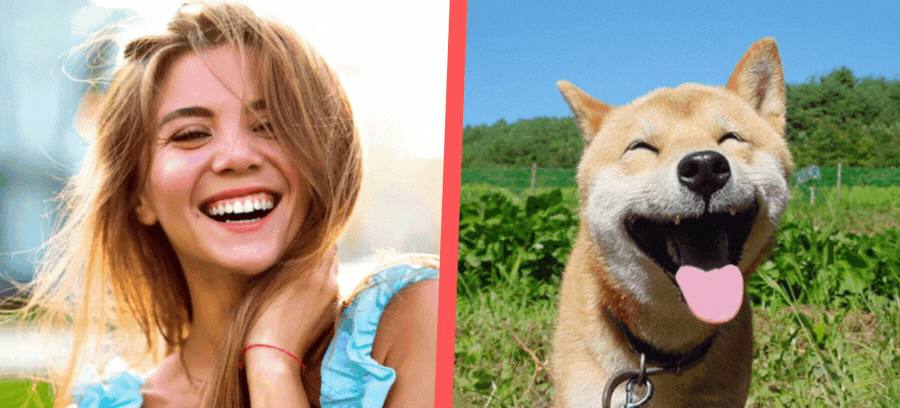 What Animal Do You Look A Like When You Smile?