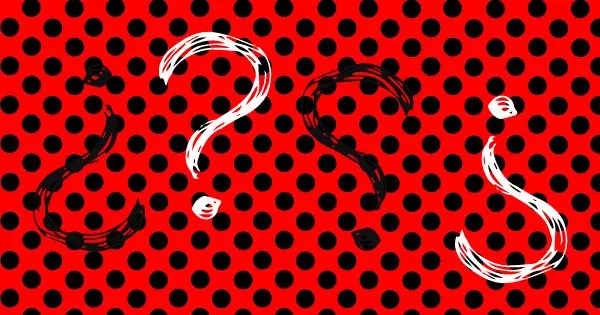 With what do you identify with the most?