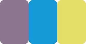 Choose one of these color palettes