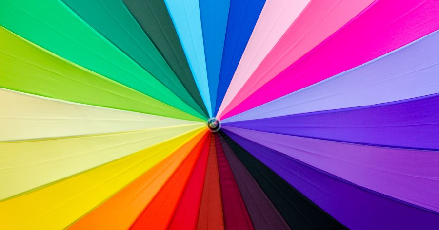 Which color palette speaks to you?